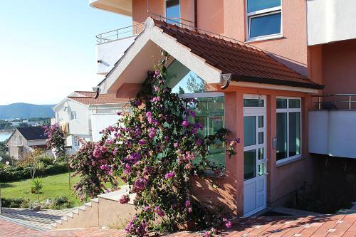 Apartments Sandra