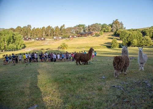 Refugio Del Valle