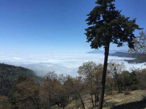 100 Mile View