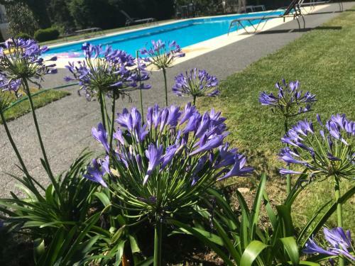 Agroturismo Pinheirinhos - Quinta de S�o Caetano
