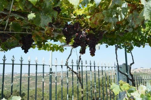 Villa At S�o Juli�o Beach, Ericeira
