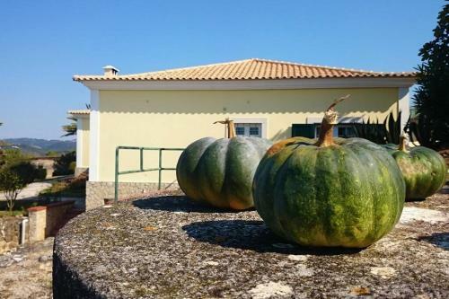 Villa At S�o Juli�o Beach, Ericeira