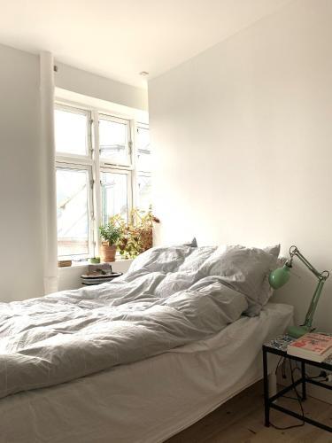 Apartmentincopenhagen Apartment 1416