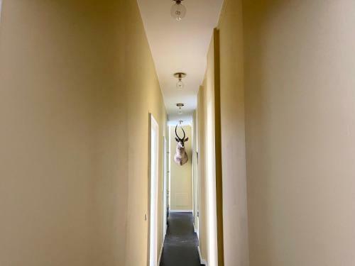 240m2 New Luxury Best Located Apartment In Cph