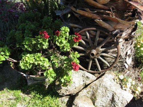 Bed & Breakfast Casa "quinta Souto Da Ordem"