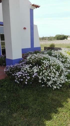 Hostal Monte Sol'ar Do Farol By Stay In Alentejo