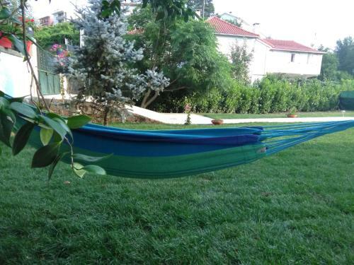 Villa - Garden & Pool
