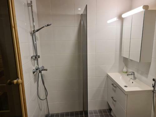 Apartamento Levibooking Lost In Levi Apt 305