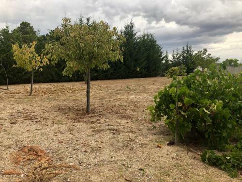 Villa Garden House T�mega - Chaves
