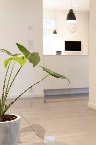 Villa G�sthaus Heisthof Kokkola