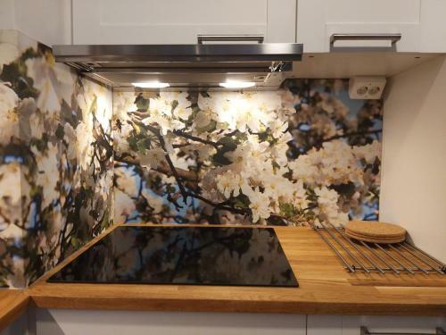 Apartamento Studiohuoneisto Lohjan Keskusta 2