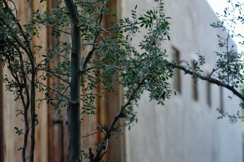 Bed & Breakfast Posada Reba�os
