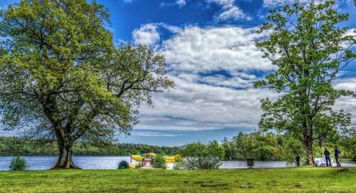 Loch Lomond Lodge