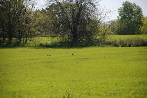 Apartamento Yerba Buena - Alojamiento Rural -