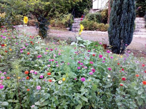 Bed & Breakfast Manoir Du Vieux Cedre