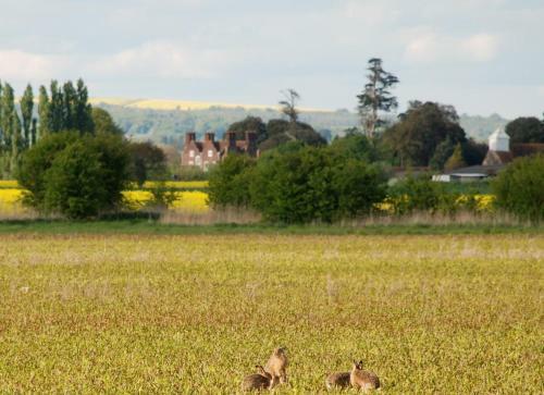 Agroturismo Barnham Court Farm