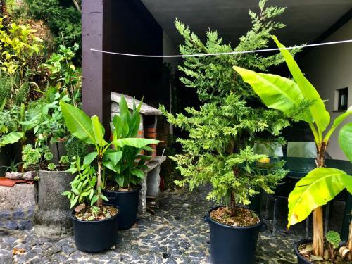 Apartamento Casa De Casarelhos - Zona Ger�s