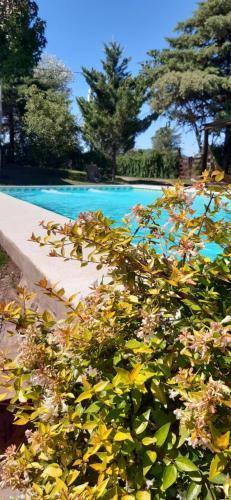 Caba�as Farah Estancia Vieja Ideal Para 2
