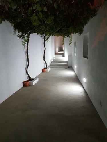 Casas Do Patheo