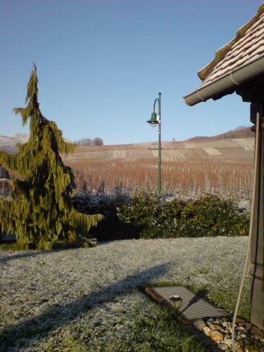 Bed & Breakfast Domaine Roland Geyer