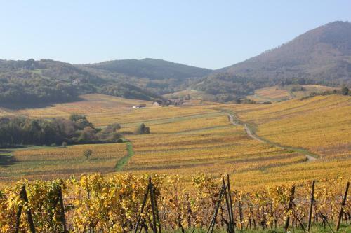 Gites Chez Le Vigneron