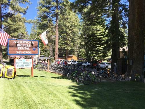 Pine Mountain Paradise By Lake Tahoe Accommodations