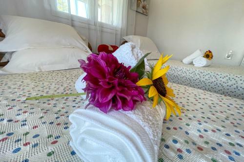 Villa Vicky Corfu