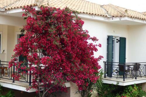Agios Leon Apartment