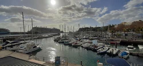 Hostal Funchal Apartments - City View