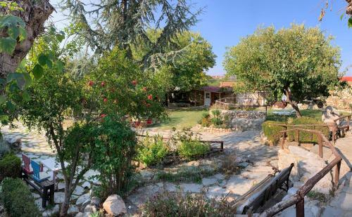 Roxani Farm At Lofos Kasta Village