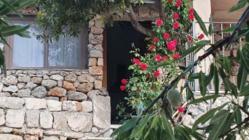 Apartamento Villa Jerkovi?-secluded House With Pool