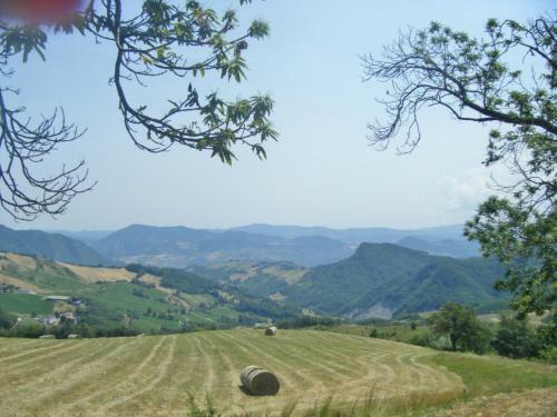 Agroturismo La Piana Dei Castagni
