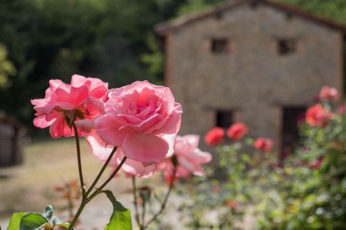 Agroturismo La Piana Dei Castagni