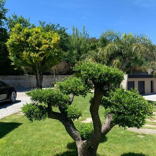 Apartamento Quinta de Santa Ana, Em Vizela
