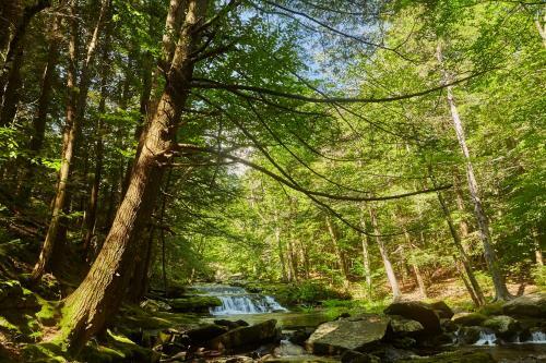 Tentrr Signature Site - High Peak Meadows Camp Ny