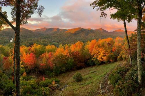Bright Sapphire Escape Near Hiking And Golfing!
