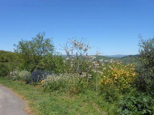 Hostal Chambre D'h�tes Et G�te Des Monts