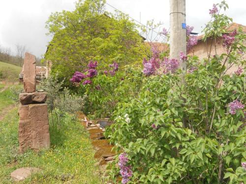 Hostal Chambre D'h�tes Et G�te Des Monts