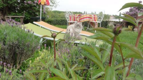 Bed & Breakfast Chambre D'h�tes Au Fil De L'eau