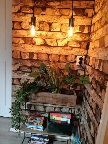Bed & Breakfast Huize De Rode Beuk