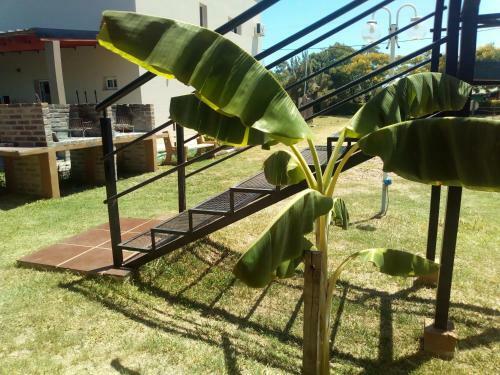 Apartamento Zafiro