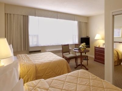 Comfort Hotel Downtown