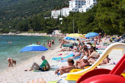 Apartments With A Parking Space Gradac, Makarska - 18315