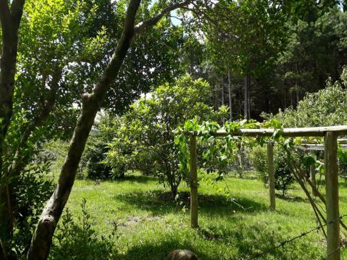 Hotel Pousada Rural Recanto Das Flores