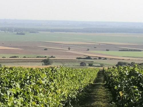 Ku?a Za Odmor Kiss-karanac,baranja