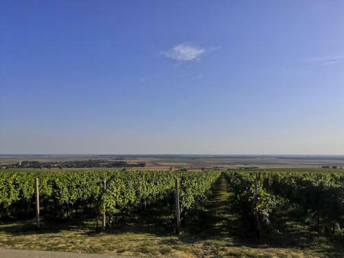 Ku?a Za Odmor Kiss-karanac,baranja