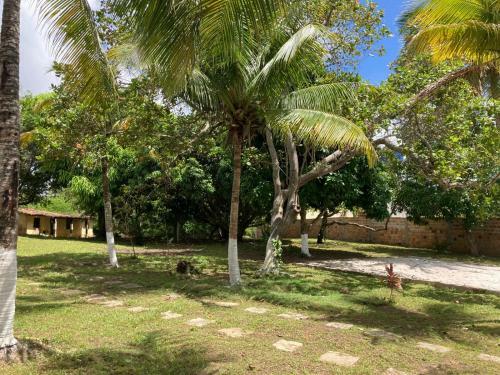 Casa Em Monte Gordo Pr�ximo � Guarajuba