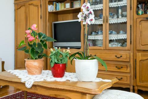 Marija Apartment