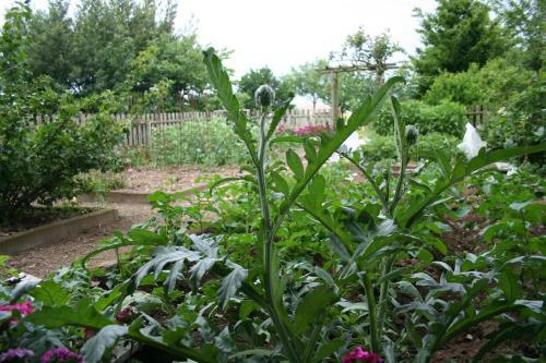 Bed & Breakfast Une Chambre � La Campagne