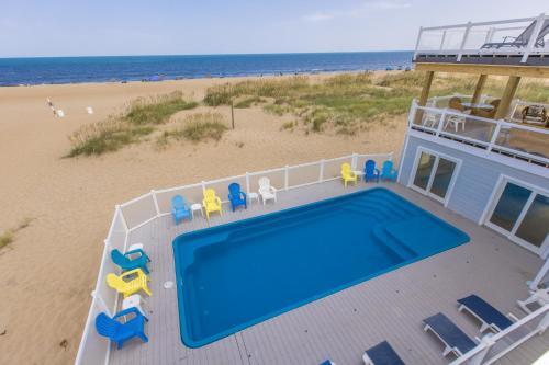 Blue Dolphin